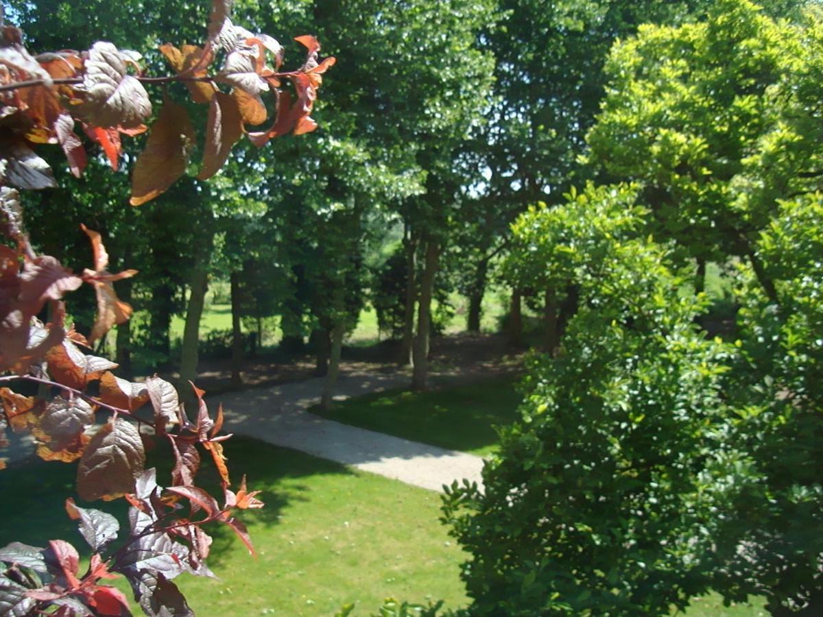 Frasnes-lez-Anvaing B&B Chateau Bagatelle المظهر الخارجي الصورة